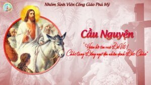 SVCG Phú Mỹ - Cầu Nguyện:"Con Đường Chúa Đi Và Ngã Rẽ Đời Tôi"