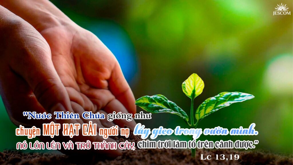 Lời Chúa mỗi ngày - Lớn lên và trở thành ( Thứ ba Tuần 30 Thường niên) 2 Lời Chúa mỗi ngày -Lớn lên và trở thành ( Thứ ba Tuần 30 Thường niên)