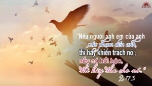 Lời Chúa mỗi ngày - Làm cớ vấp ngã ( Thứ hai Tuần 32 Thường niên)