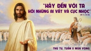 Lời Chúa mỗi ngày- Ách của tôi êm ái (Thứ tư Tuần 2 Mùa Vọng)