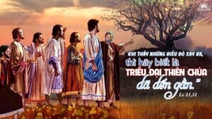 Lời Chúa mỗi ngày - Xem cây vả (Thứ Sáu Tuần 34 Thường niên)