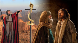 Lời Chúa mỗi ngày - Đến cùng ánh sáng